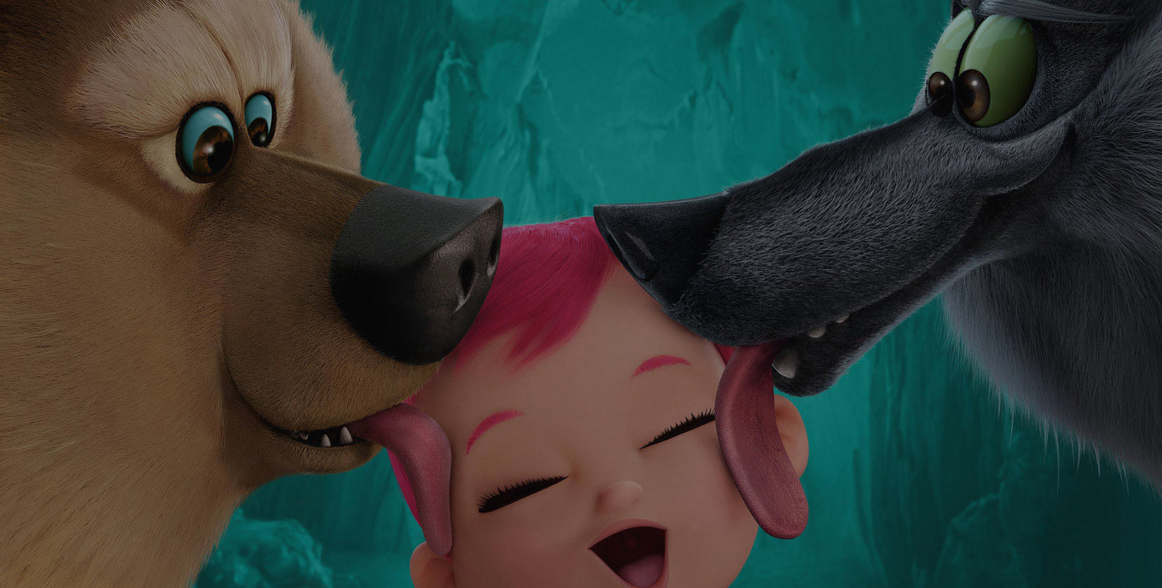 免费ddos平台攻击